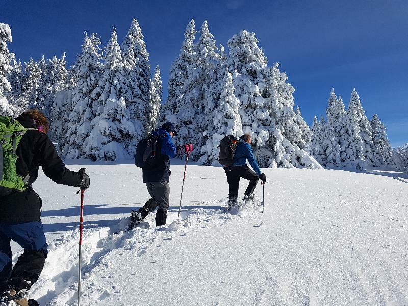 Le Pre Du Lac Saint-Jorioz Dış mekan fotoğraf